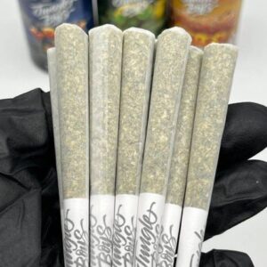 JUNGLE BOYS mini prerolls