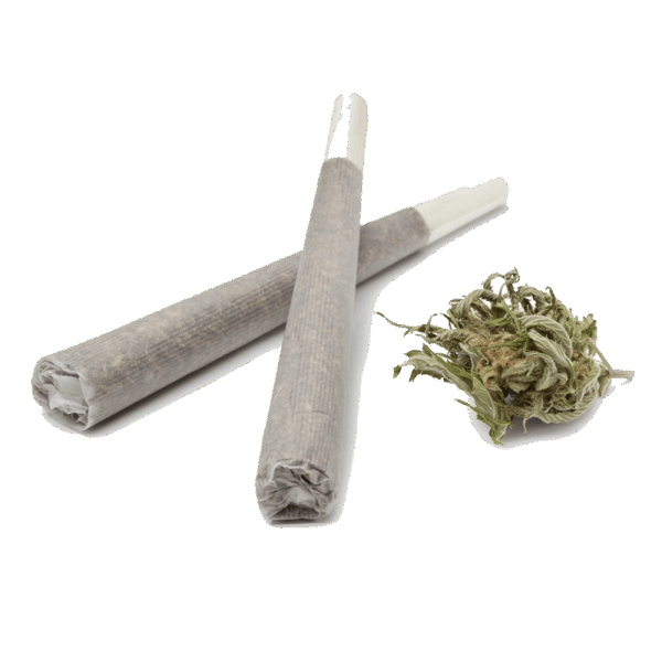 Organic Pre-Roll, Gelato de Limon GrowHealthy Pre-Roll, Gelato | Pre-Rolls - Jeeter, Shop Gelato Delta 8 THC Pre-Roll | Colorado Breeders.