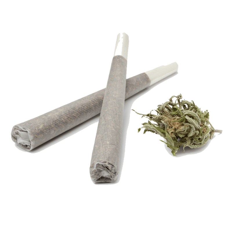 Organic Pre-Roll, Gelato de Limon GrowHealthy Pre-Roll, Gelato | Pre-Rolls - Jeeter, Shop Gelato Delta 8 THC Pre-Roll | Colorado Breeders.