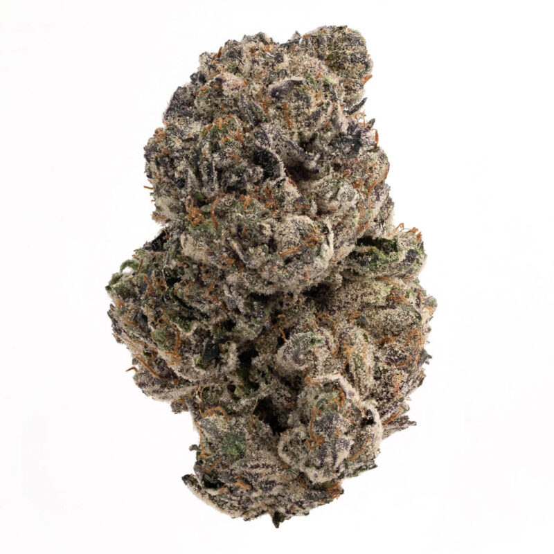 Gastro Pop - Flow Gardens, Gastro Pop Strain - Potent and Flavorful Cannabis, Gastro Pop Strain - Hybrid Cannabis Review, 24.86, Gastro Pop (aka Gastropop) Weed Strain Information, Gastro Pop Strain: Fruity, Gassy Hybrid with Uplifting…, Gastro Pop cannabis flavored strain.