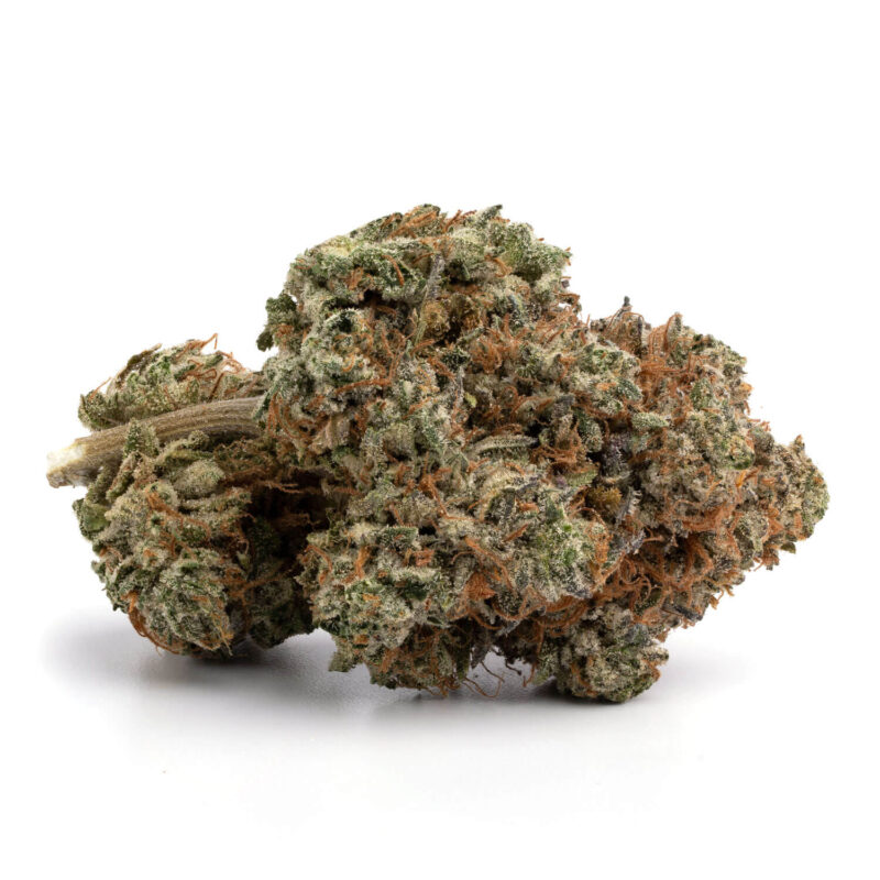 Ghost Train Haze Marijuana Strain Information & Reviews - AllBud Royalesque Ghost Train Haze [1000mg] for sale - The Source Ghost Train Haze | The Capitol Dispensary | AllBud Ghost Train Haze Seeds – 25% THC | USA Free Shipping Ghost Train Haze x Pellezino fem cannabis seeds for …,Ghost TraIN hAZE