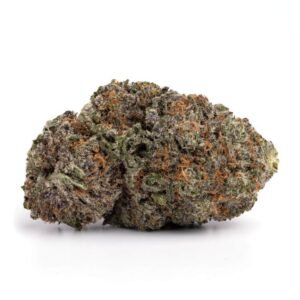God's Green Crack Marijuana Strain, Gods Green Crack - Strain Information – Royal King Seeds, God's Green Crack Weed Strain Effects & Reviews - Leafly, god's green cannabis strain, god's green crack, god's green crack Exotic Strain.